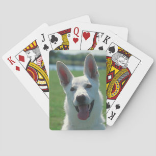 Jeu De Cartes Chien berger allemand blanc jouer aux cartes