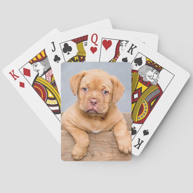 Jeu De Cartes Chien Chien Chien Chien Chien Chien Chien Chien De (dos)
