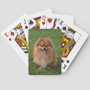 Jeu De Cartes Chien Chien Chien Chien Chien Chien Chien Chien Po