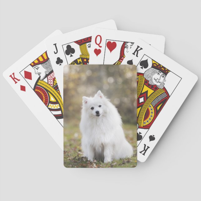 Jeu De Cartes Chien Chiot Canin Chien Blanc Fourrure (dos)