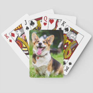 Jeu De Cartes Chien coquelicot de Pembroke Welsh Corgi