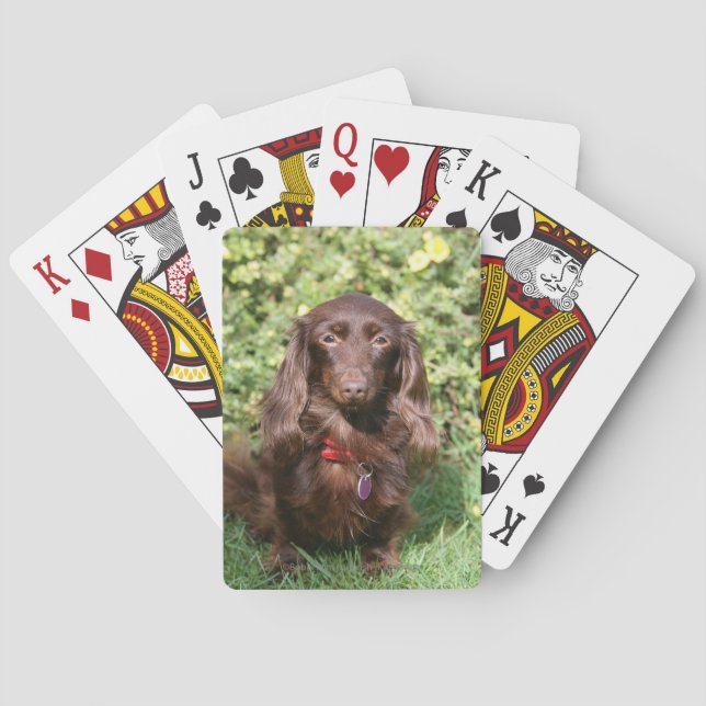 Jeu De Cartes Chien de chien de Brown (dos)