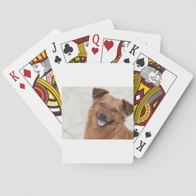 Jeu De Cartes Chien de chiot brun heureux (dos)