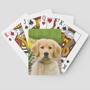 Jeu De Cartes Chien de golden retriever