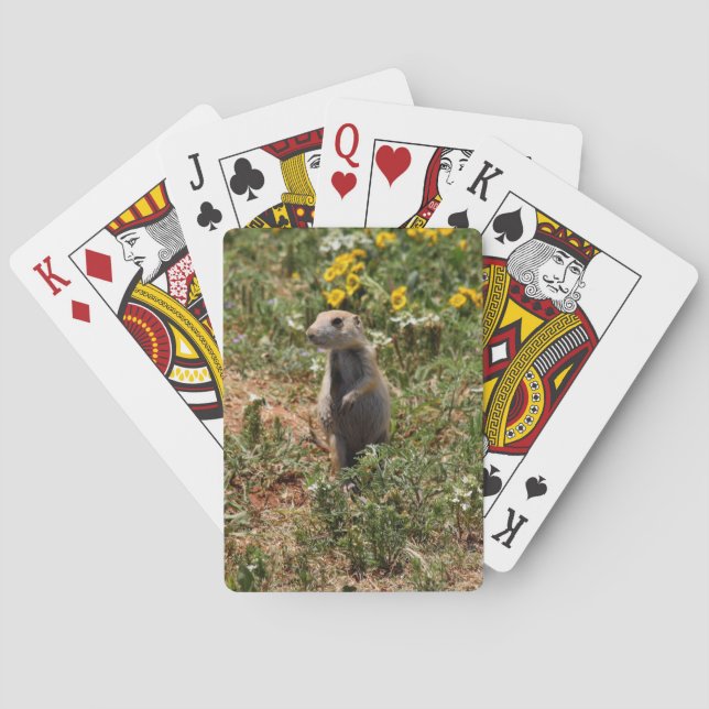 Jeu De Cartes Chien de prairie (dos)
