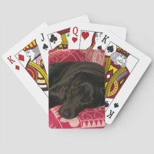 Jeu De Cartes Chien endormi Jouer aux cartes