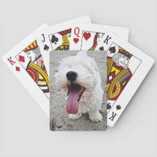 Jeu De Cartes Chien heureux chien blanc, maltais, maltipoo.