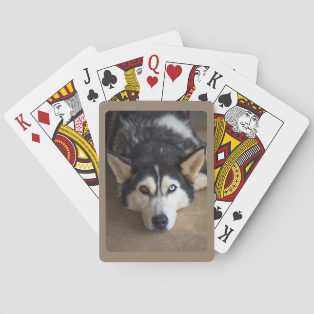 Jeu De Cartes Chien Husky avec oeil bleu et marron (dos)