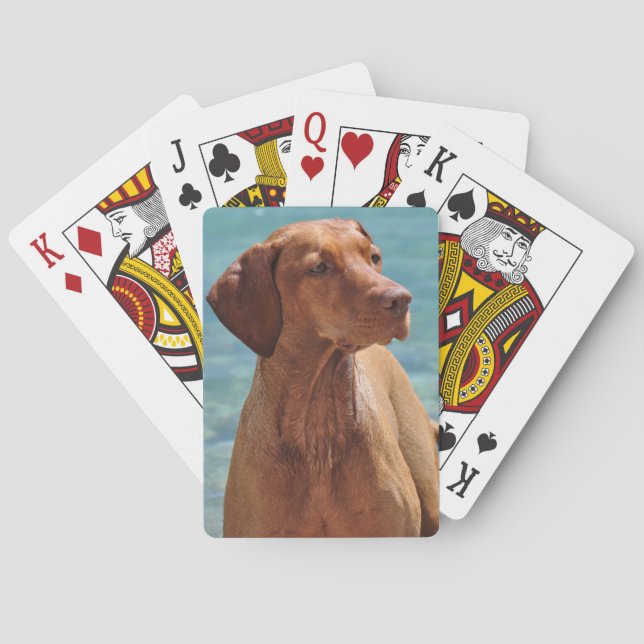 Jeu De Cartes Chien Magyar Vizsla (dos)
