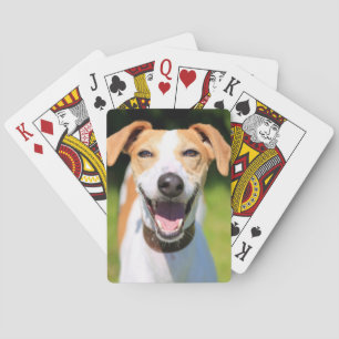 Jeu De Cartes Chien riant des images   de Getty