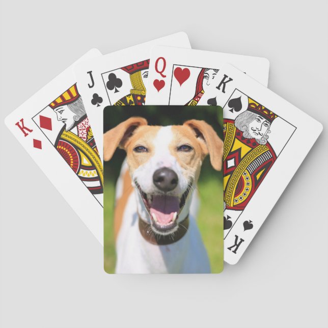 Jeu De Cartes Chien riant des images | de Getty (dos)