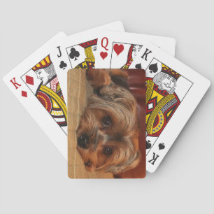 Jeu De Cartes Chien Yorkshire terrier Yorkie Puppy