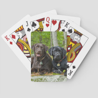 Jeu De Cartes Chiens Chiens Marionnettes Black Lab Chocolat Labr