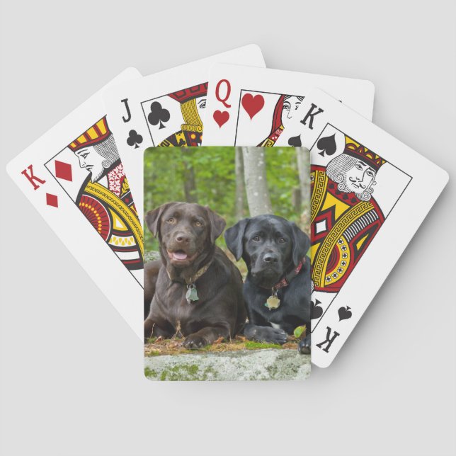 Jeu De Cartes Chiens Chiens Marionnettes Black Lab Chocolat Labr (dos)