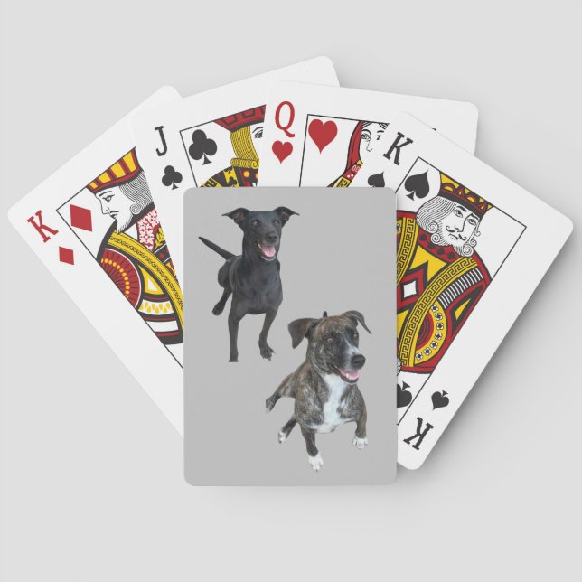 Jeu De Cartes Chiens de Carlos (dos)
