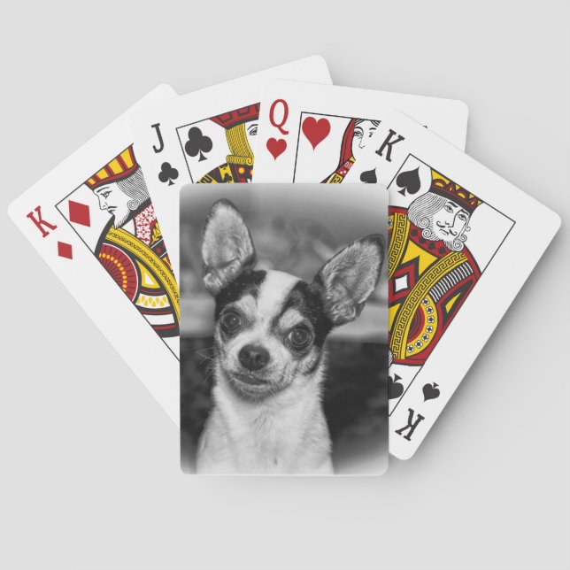 Jeu De Cartes Chihuahua (dos)