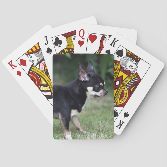 Jeu De Cartes Chihuahua à poil court debout (dos)