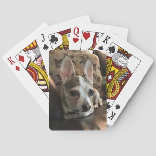 Jeu De Cartes Chihuahua Chien Jouer aux cartes