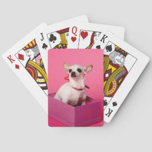Jeu De Cartes Chihuahua Dog Playing Cards