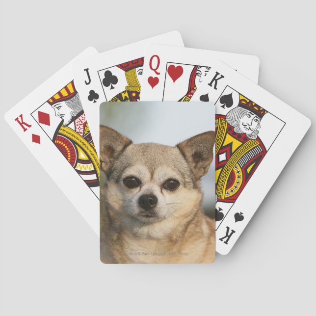 Jeu De Cartes Chihuahua Headshot (dos)