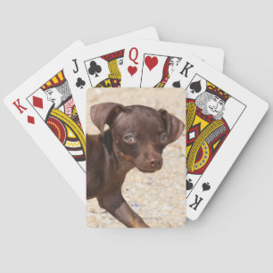 Jeu De Cartes Chihuahua Puppy Walking