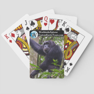 Jeu De Cartes Chimpanzé jouant aux cartes