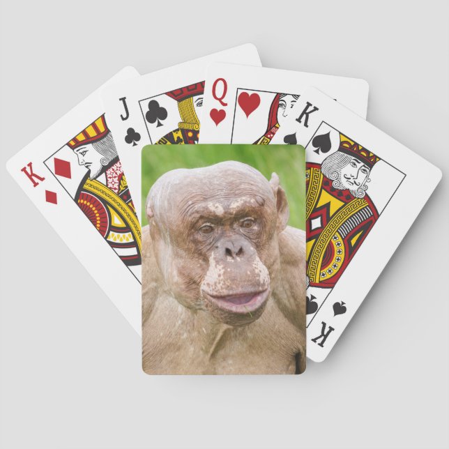 Jeu De Cartes Chimpanzé sans cheveux (dos)