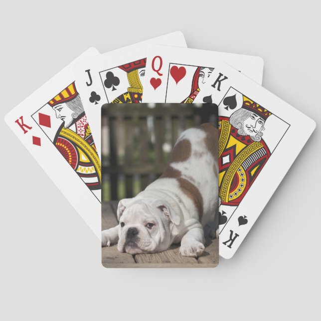 Jeu De Cartes Chiot anglais de bouledogue (dos)