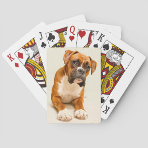 Jeu De Cartes chiot boxer sur fond crème ivoire.