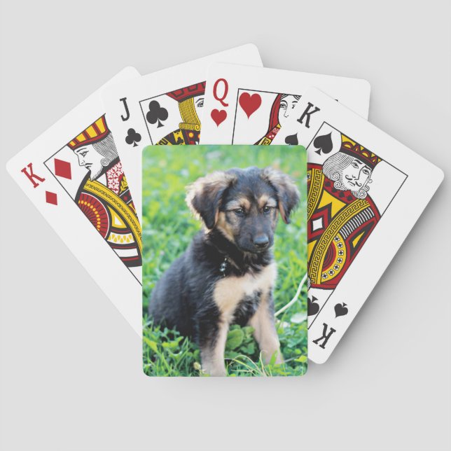 Jeu De Cartes Chiot de berger allemand (dos)