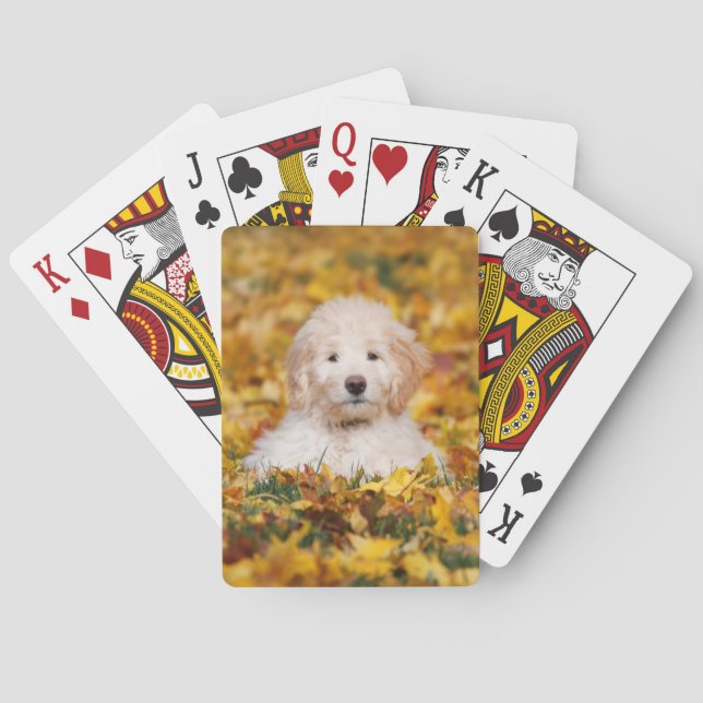 Jeu De Cartes Chiot De Goldendoodle En Feuilles D'Automne (dos)