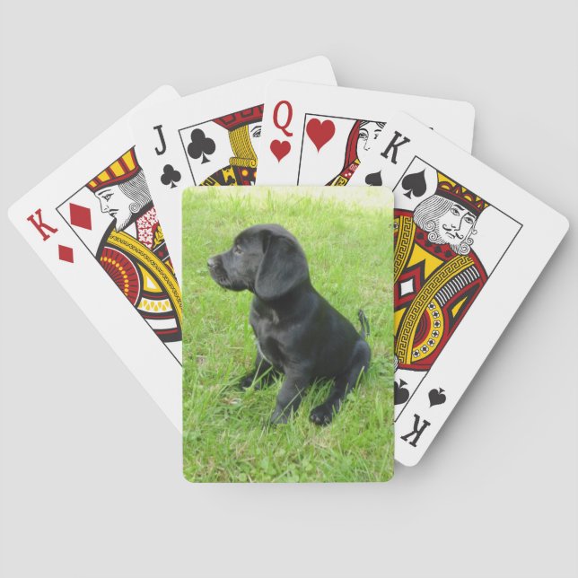 Jeu De Cartes chiot de laboratoire noir.png (dos)
