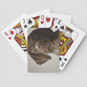 Jeu De Cartes Chiot de poing germanique à courte aile
