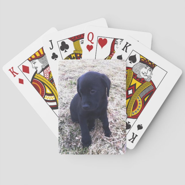 Jeu De Cartes Chiot de récupération Black Labrador (dos)