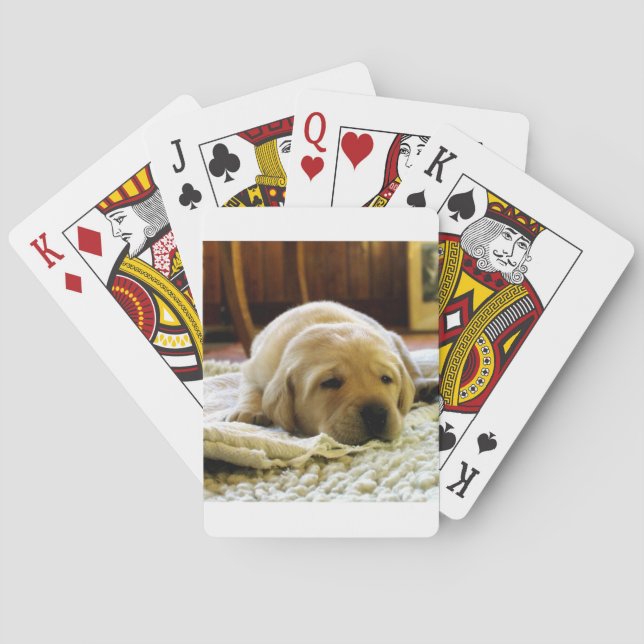 Jeu De Cartes chiot jaune 2 labo (dos)