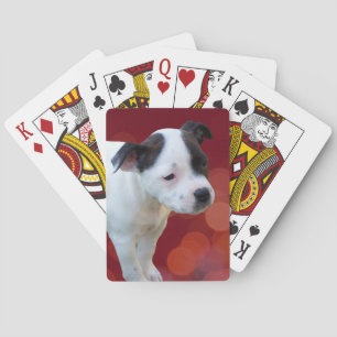 Jeu De Cartes Chiot Noir Et Blanc,