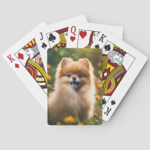 Jeu De Cartes Chiot Poméranien en champ de fleurs