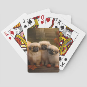 Jeu De Cartes Chiots Pékinois Automne Délice Citrouille