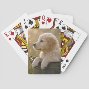 Jeu De Cartes Chiots Retriever Doré dans un seau métallique