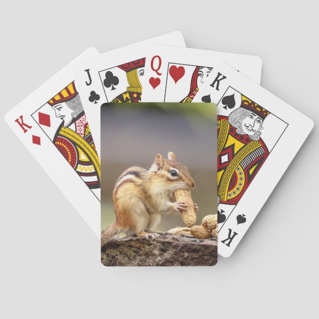 Jeu De Cartes Chipmunk mange une cacahuète (dos)