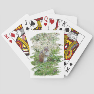 Jeu De Cartes Chipmunk oriental