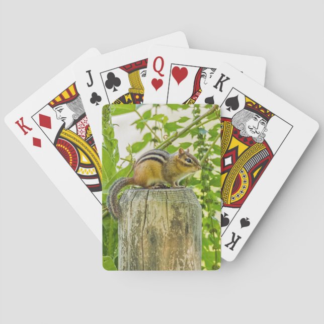 Jeu De Cartes Chipmunk sur un poteau de clôture (dos)
