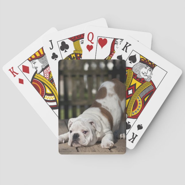 Jeu De Cartes Chippon de Bulldog anglais (dos)