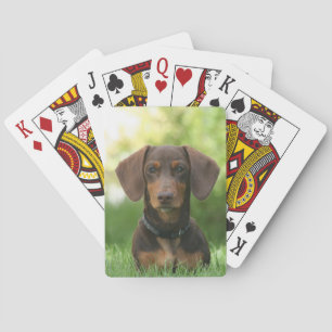 Jeu De Cartes Chocolat et Tan Dachshund - Doxie Chien