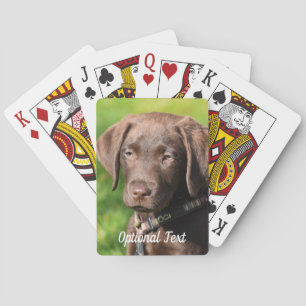 Jeu De Cartes Chocolat Lab Chien Chien Chien Chien Chien