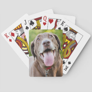 Jeu De Cartes Chocolate Labrador Dog