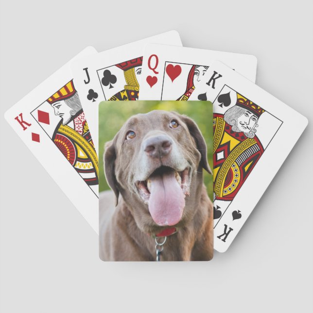 Jeu De Cartes Chocolate Labrador Dog (dos)