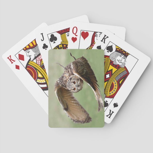 Jeu De Cartes Chouette d'aigle en vol (dos)