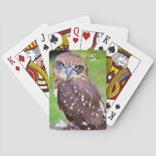 Jeu De Cartes Chouette Lecture de cartes
