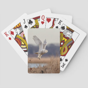 Jeu De Cartes Chouette neige décolle
